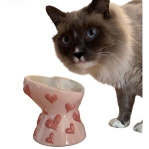 Elegant Pink Heart Cat Feeder